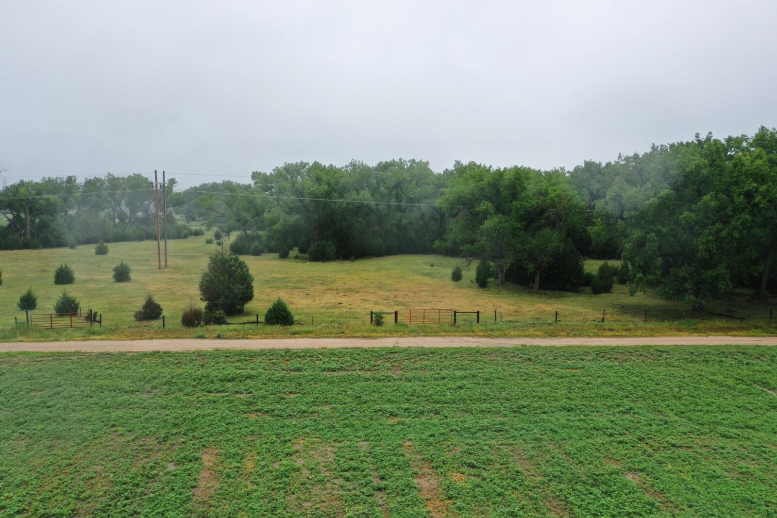 101 Acres, Red Willow County – Red Willow Deer and Turkey Hunting Property