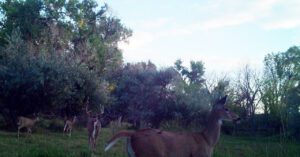 Acreage for sale with home near Crawford, Nebraska