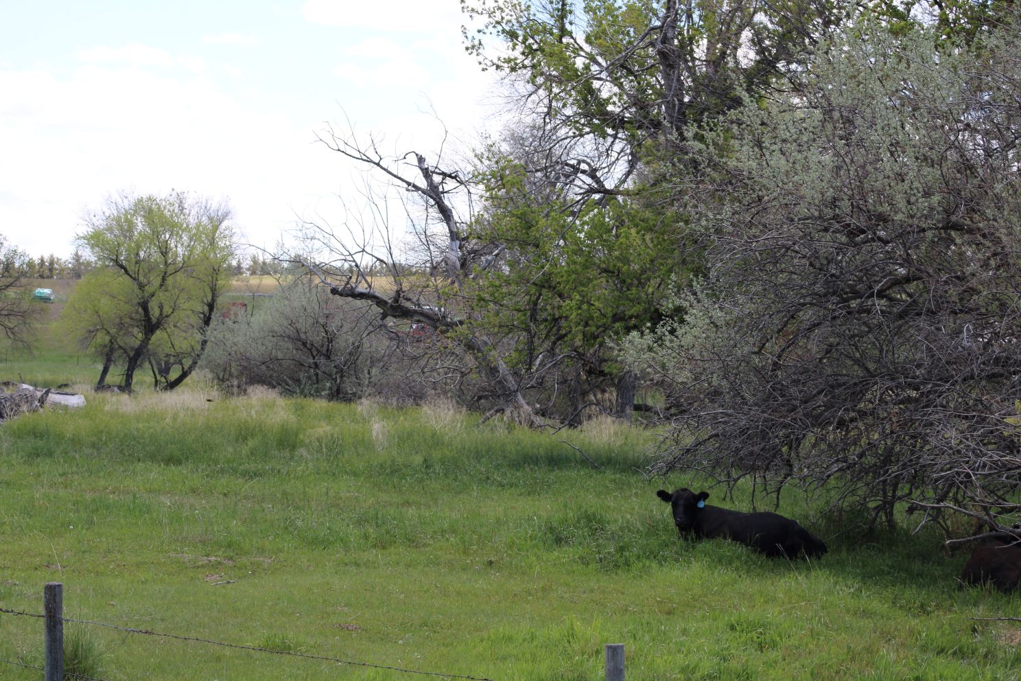 Acreage for sale with home near Crawford, Nebraska