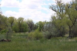 Acreage for sale with home near Crawford, Nebraska
