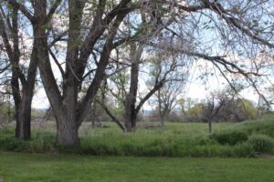 Acreage for sale with home near Crawford, Nebraska