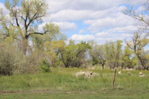 Acreage for sale with home near Crawford, Nebraska