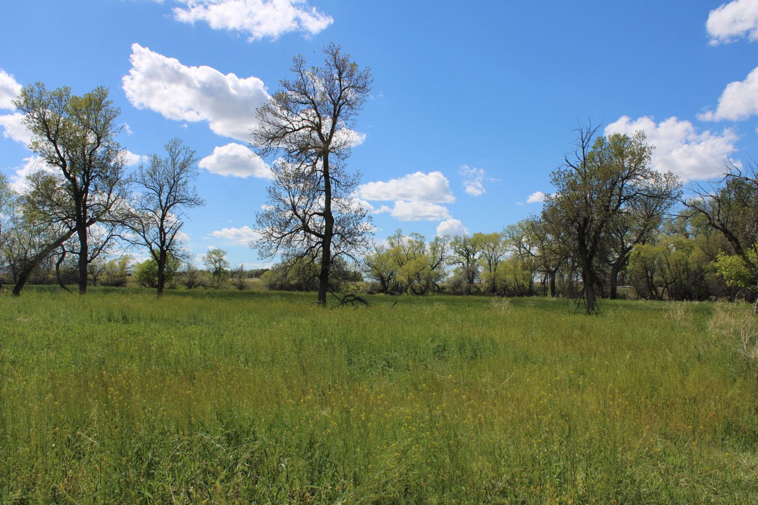 Acreage for sale with home near Crawford, Nebraska