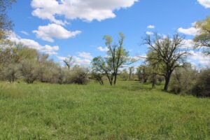 Acreage for sale with home near Crawford, Nebraska