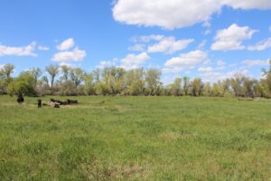 Acreage for sale with home near Crawford, Nebraska