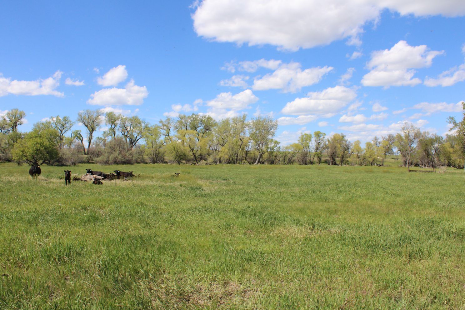 Acreage for sale with home near Crawford, Nebraska