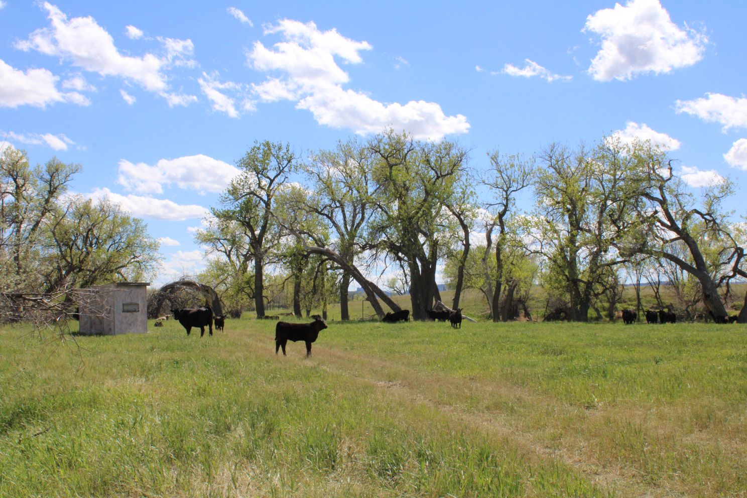 Acreage for sale with home near Crawford, Nebraska