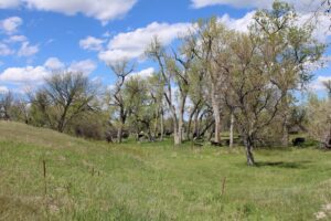 Acreage for sale with home near Crawford, Nebraska