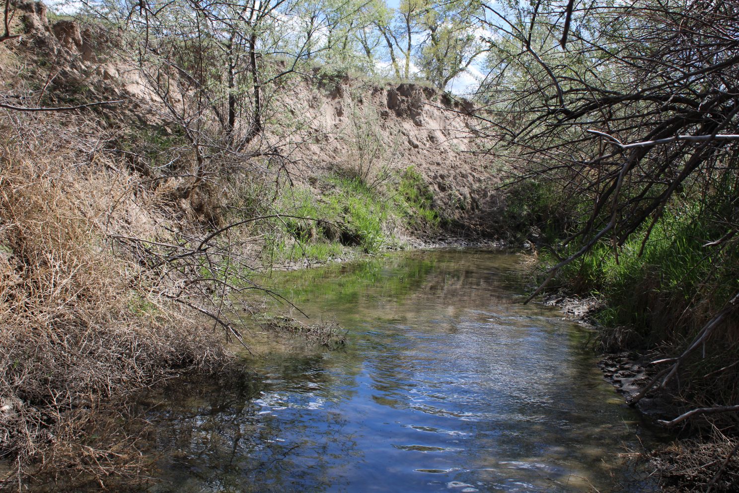 Acreage for sale with home near Crawford, Nebraska