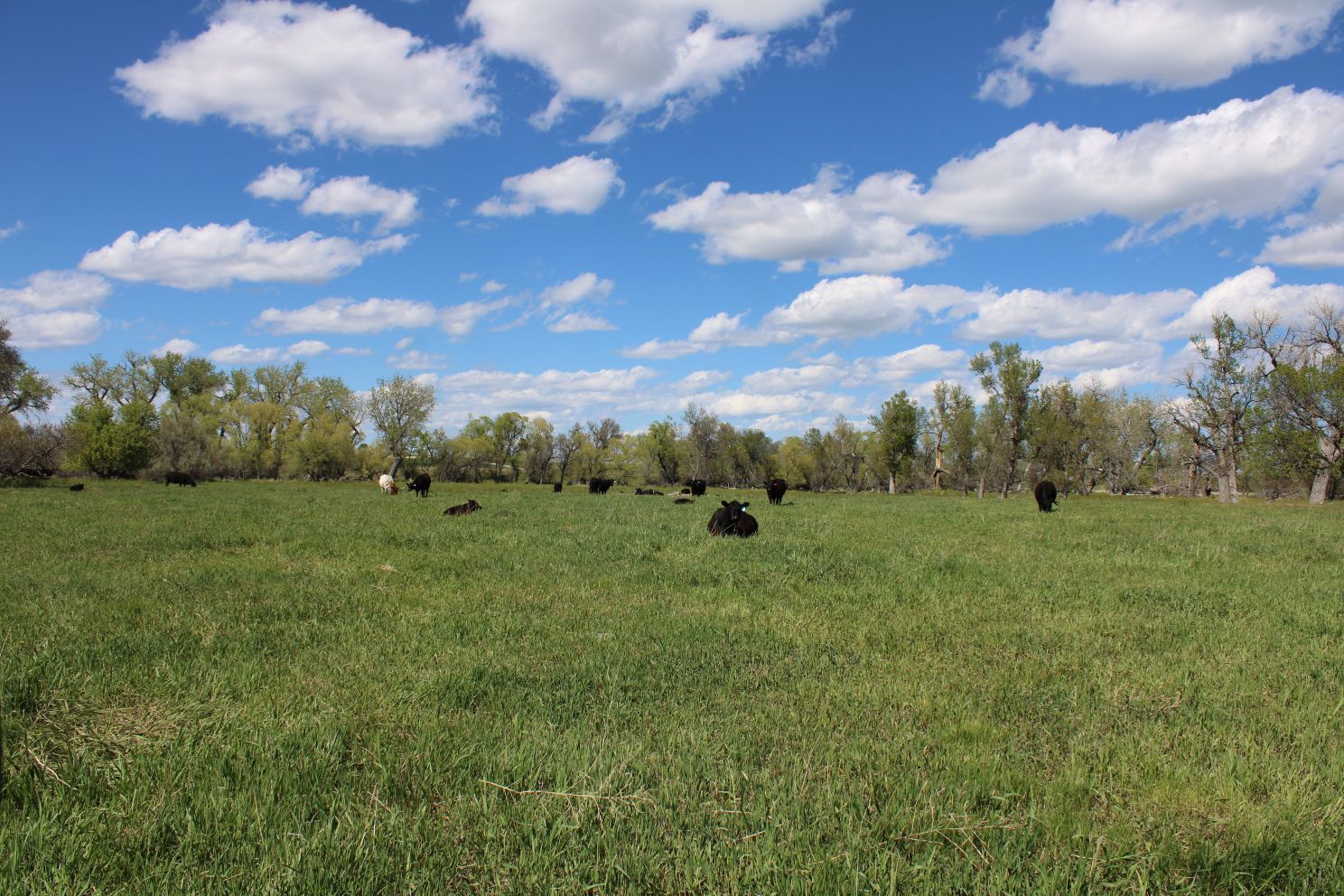 Acreage for sale with home near Crawford, Nebraska