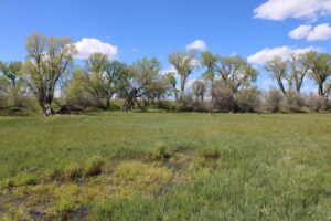 Acreage for sale with home near Crawford, Nebraska