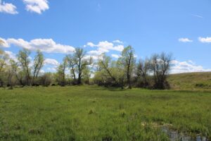 Acreage for sale with home near Crawford, Nebraska