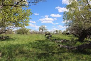 Acreage for sale with home near Crawford, Nebraska
