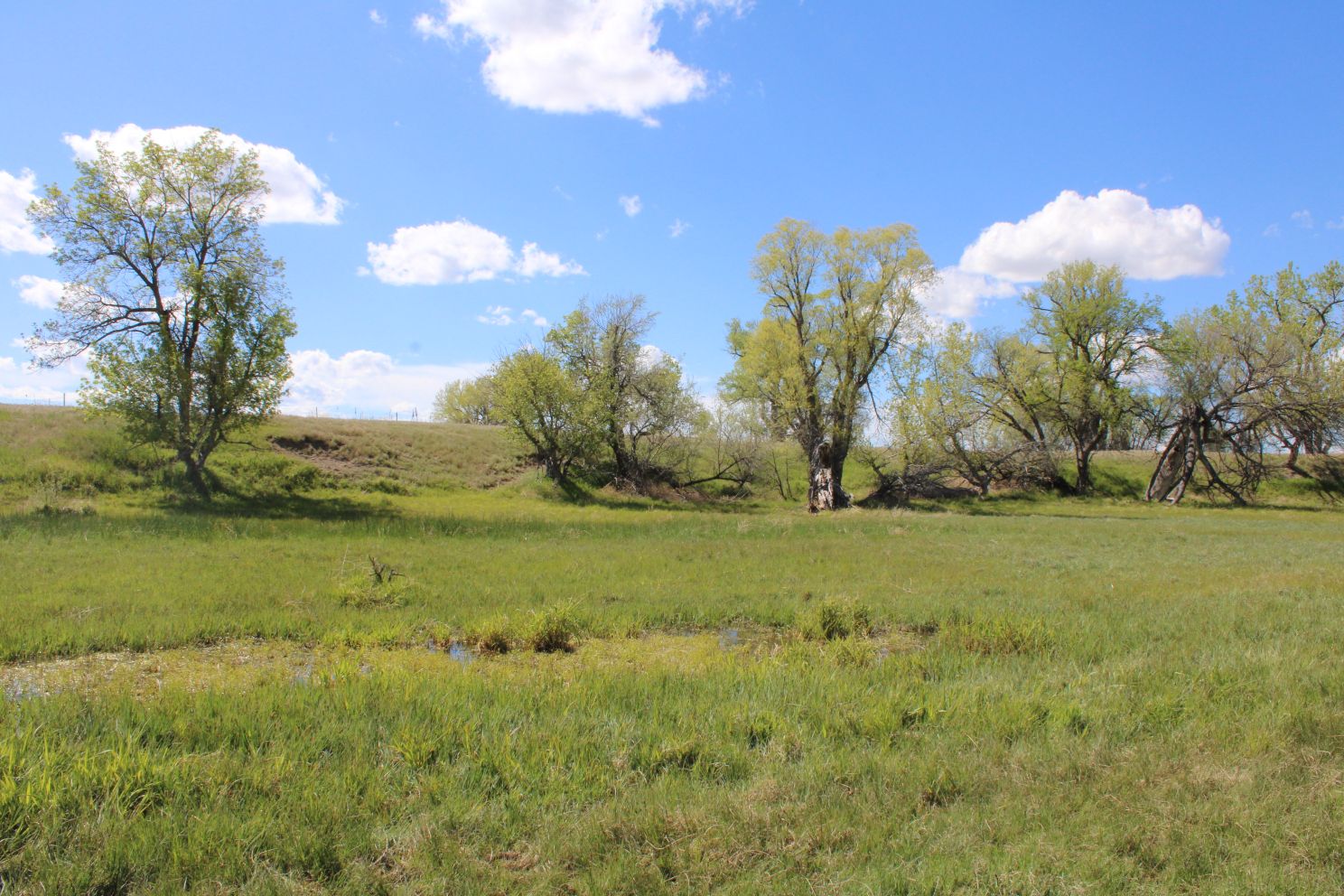 Acreage for sale with home near Crawford, Nebraska
