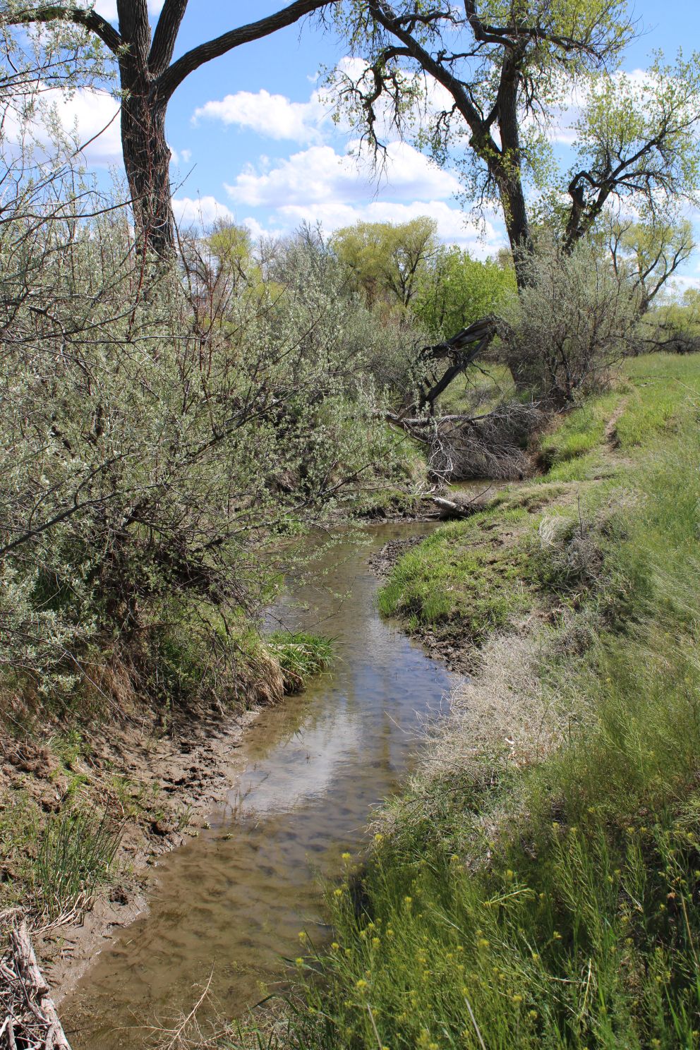 Acreage for sale with home near Crawford, Nebraska