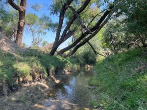 Acreage for sale with home near Crawford, Nebraska