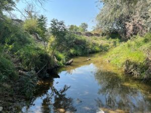 Acreage for sale with home near Crawford, Nebraska