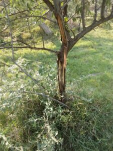 Acreage for sale with home near Crawford, Nebraska