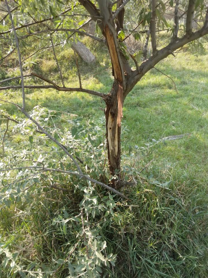 Acreage for sale with home near Crawford, Nebraska