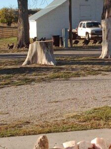 Acreage for sale with home near Crawford, Nebraska