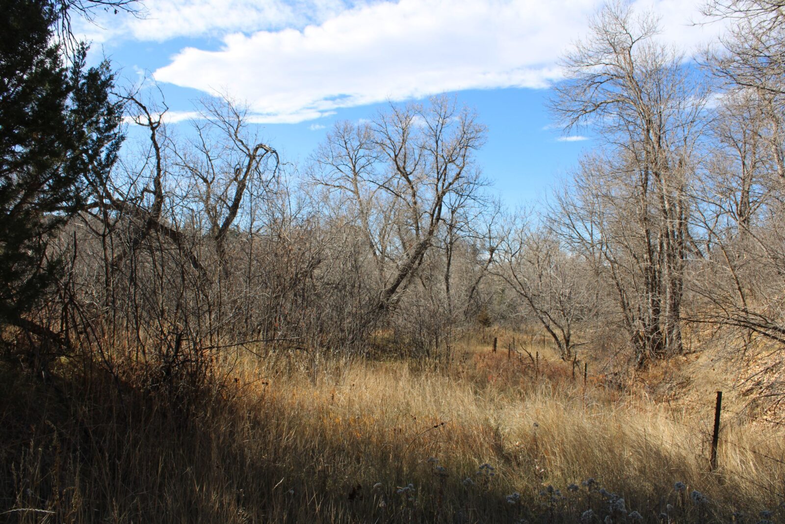 Auction of Nebraska acreage for sale with Log Cabin near Crawford, Nebraska