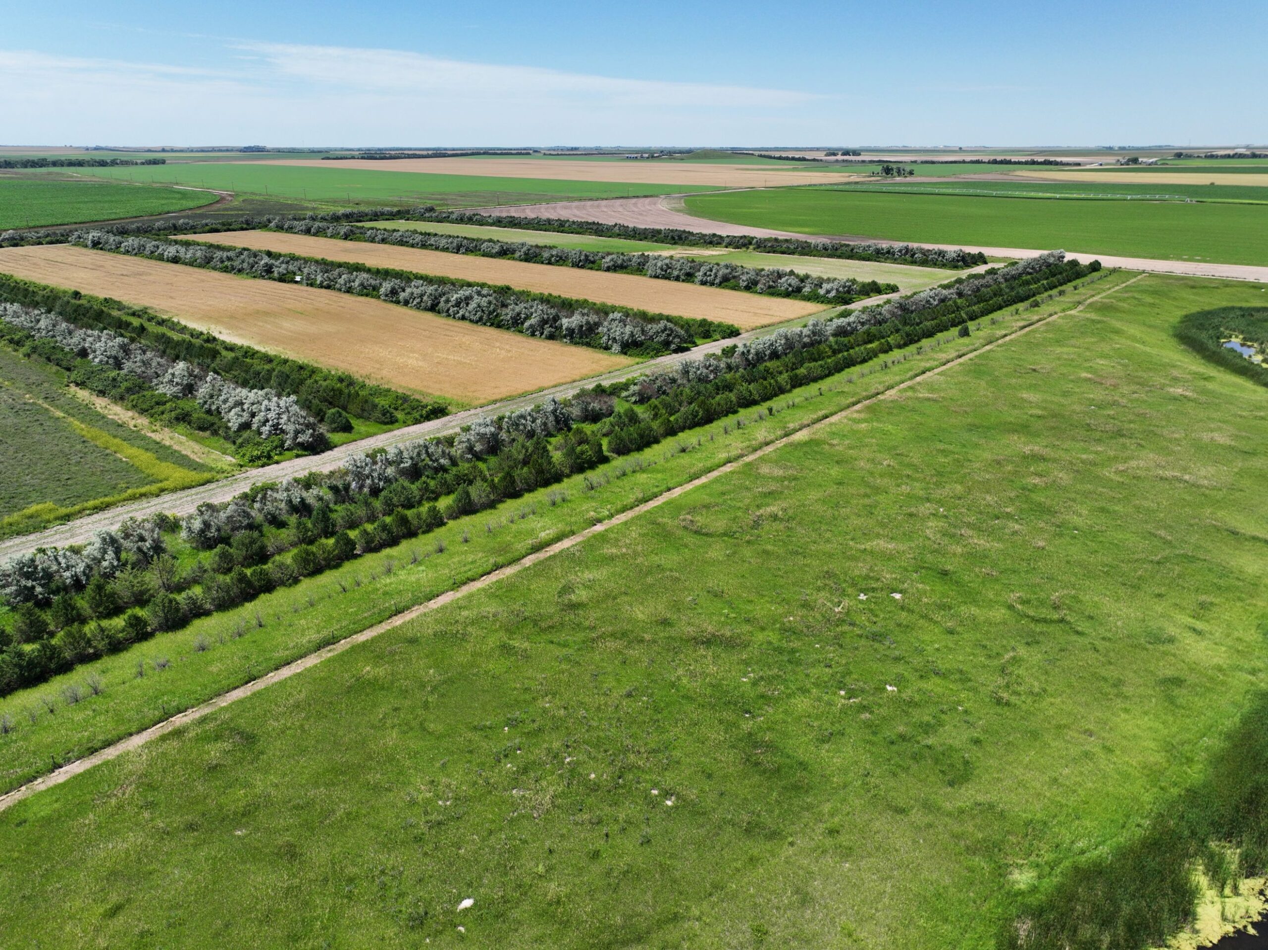 620 Acres, Box Butte County Rooster Junction Lashley Land