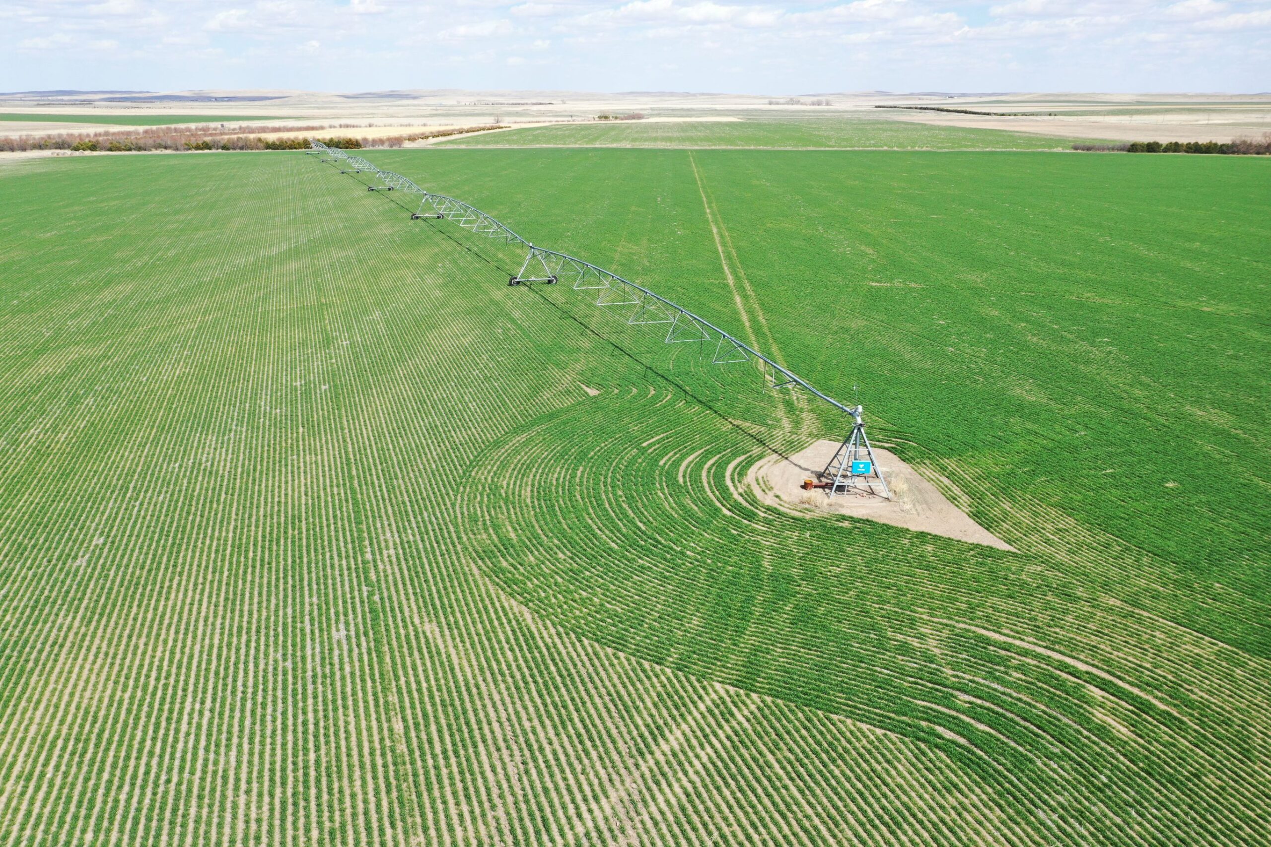 620 Acres, Box Butte County Rooster Junction Lashley Land