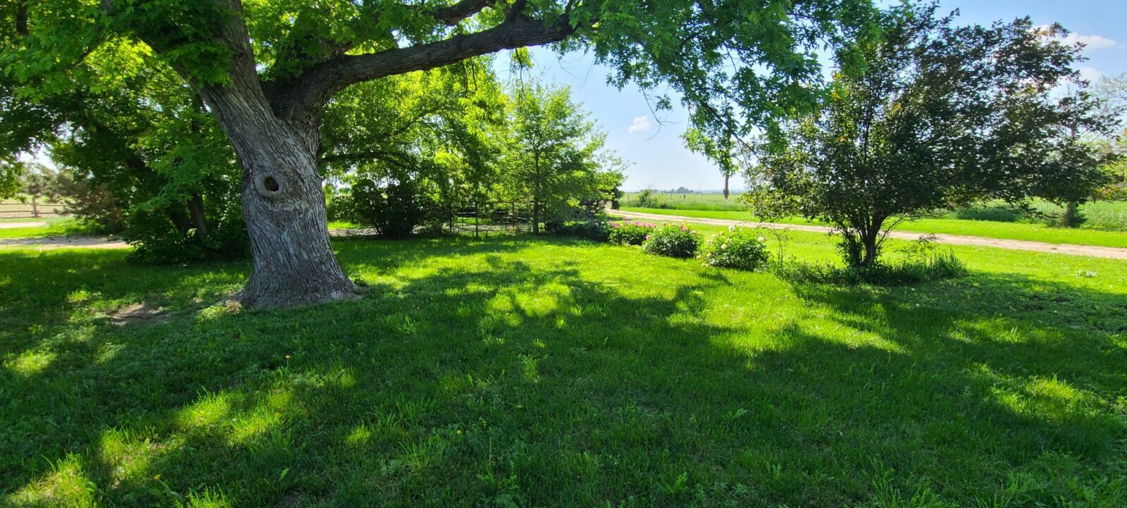 Nebraska Land For Sale Lewellen