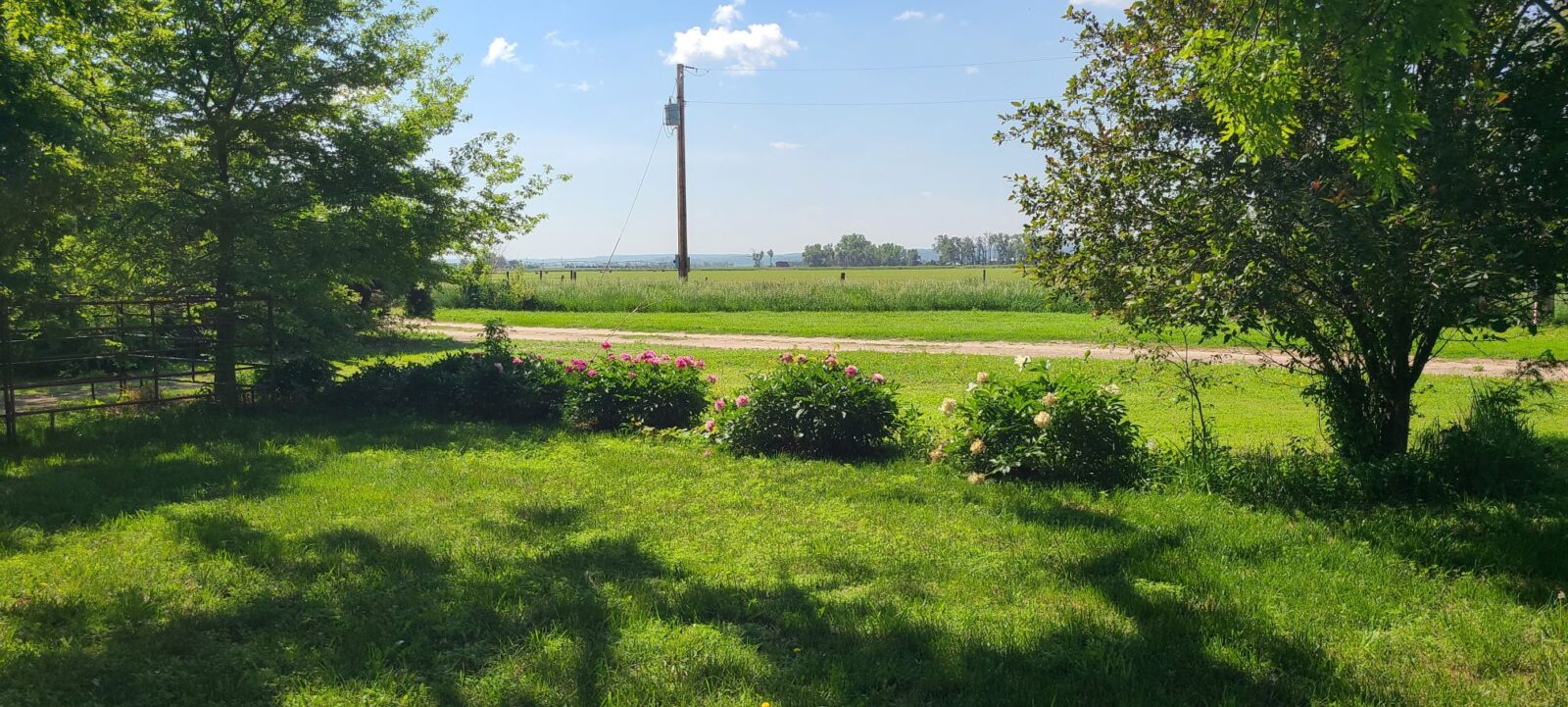 Nebraska Land For Sale Lewellen