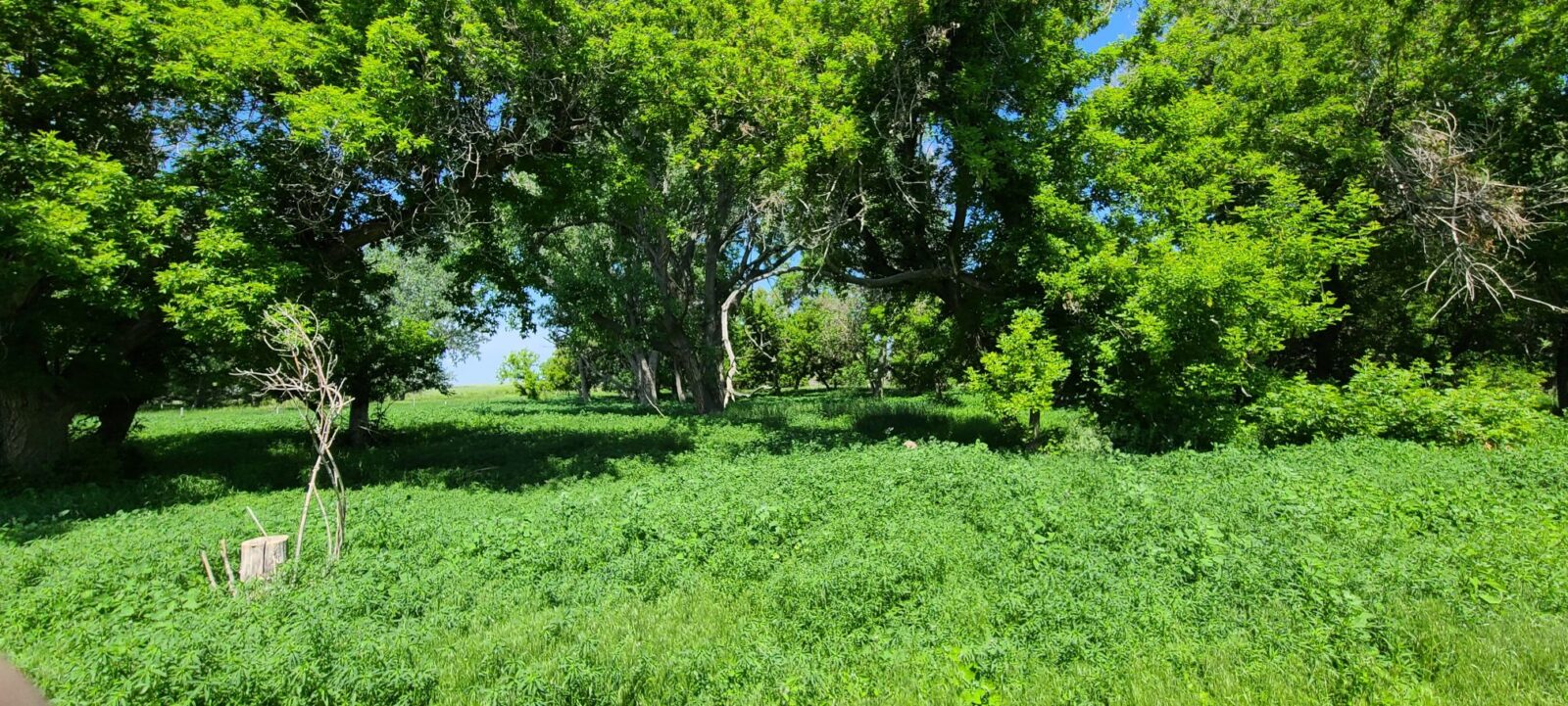 280 Acres, Garden County – Lewellen Blue Creek Farm, Grass, and Acreage