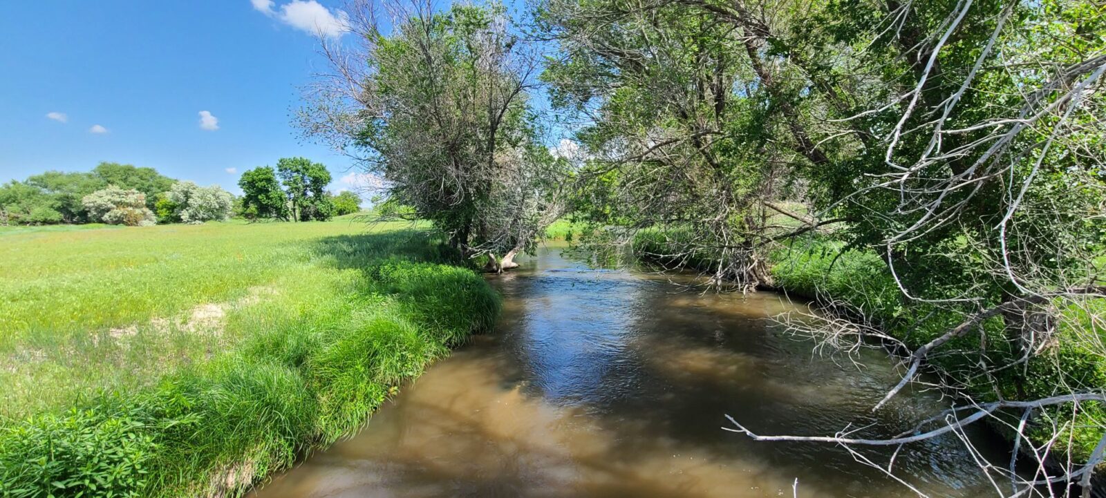 Nebraska Land For Sale Lewellen