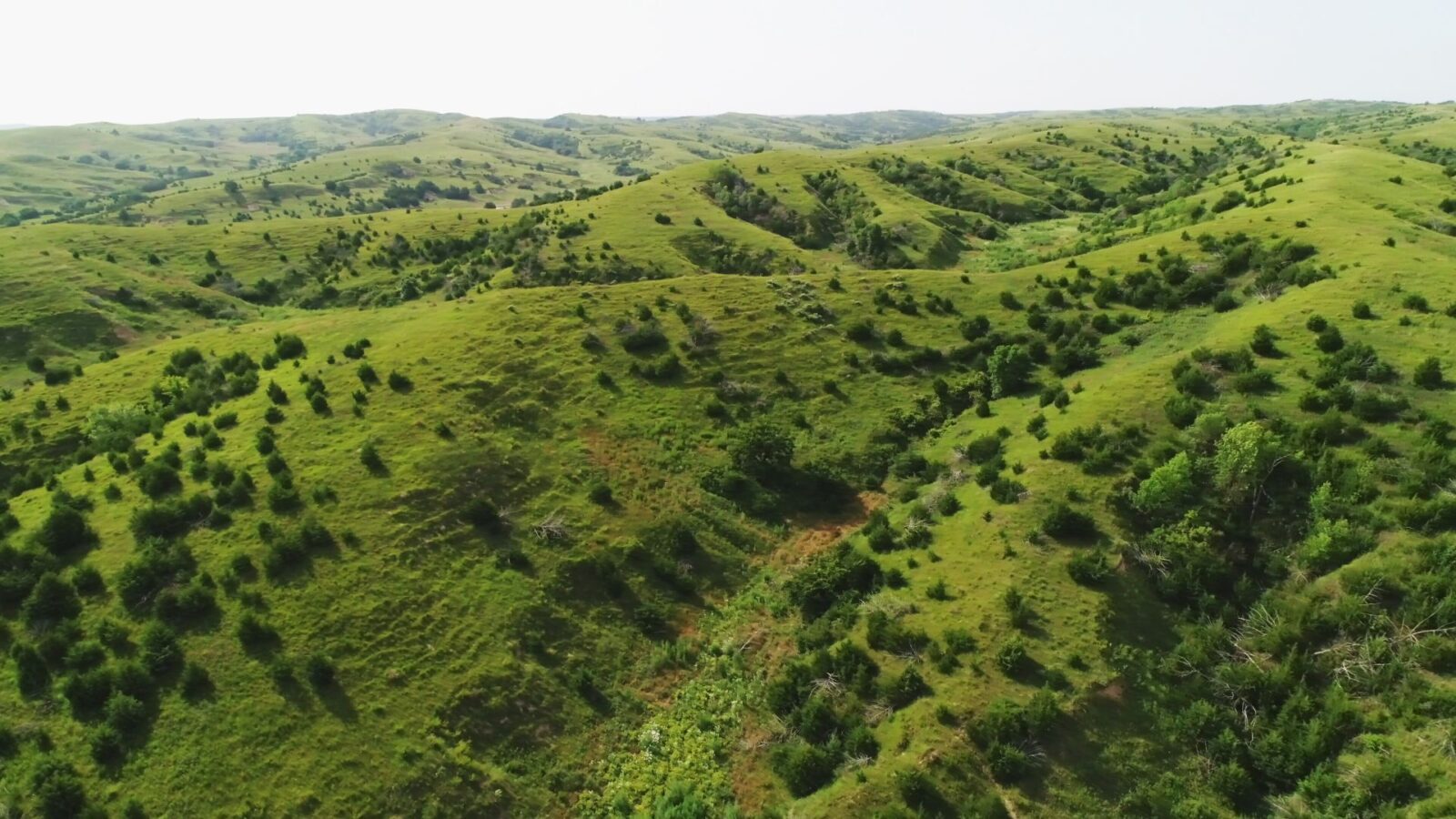 Nebraska Hunting Land for Sale - Brady Hunting Canyon Section - Brady, NE