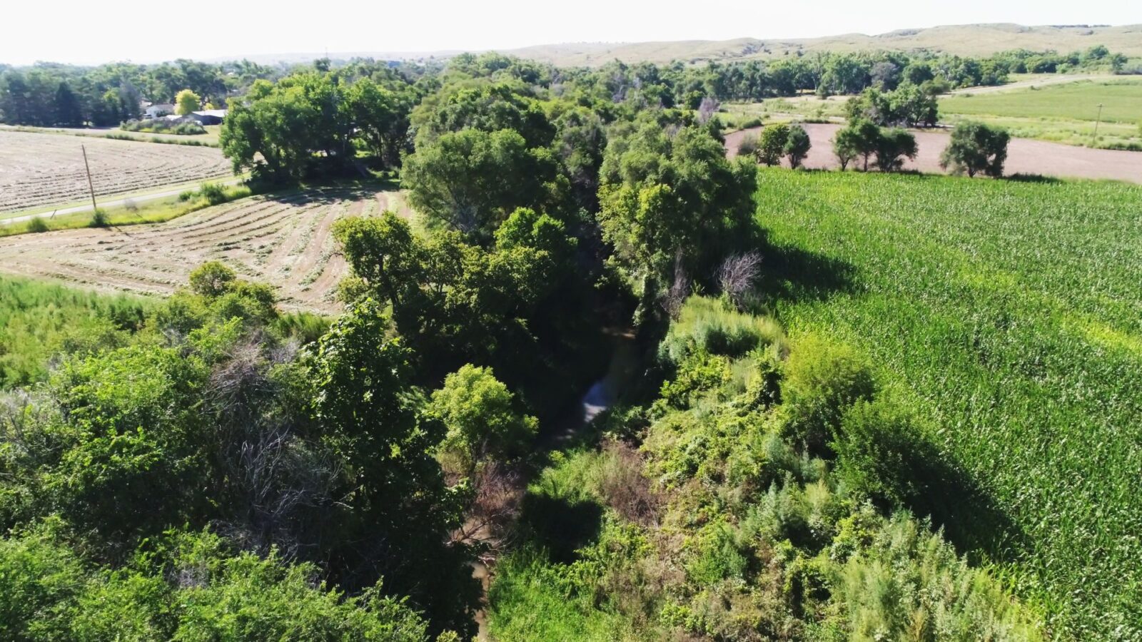 Hamlet Frenchman Creek Hunt and Farm - Nebraska Hunting Land for sale in Hamlet, NE