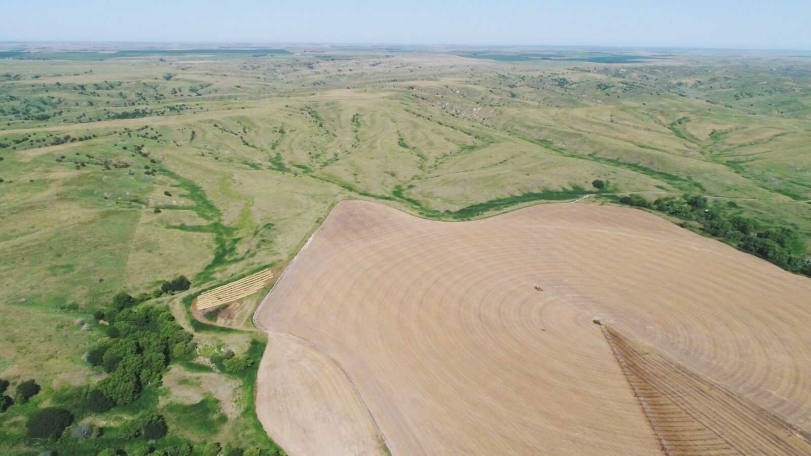 794 Acres, Hayes County – Hayes County Pivots, Grass, and Acreage