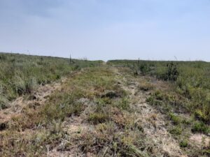 Lake McConaughy Land-Lot B