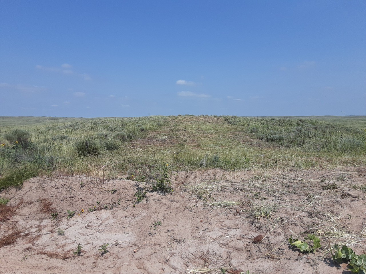 Lake McConaughy Land-Lot B