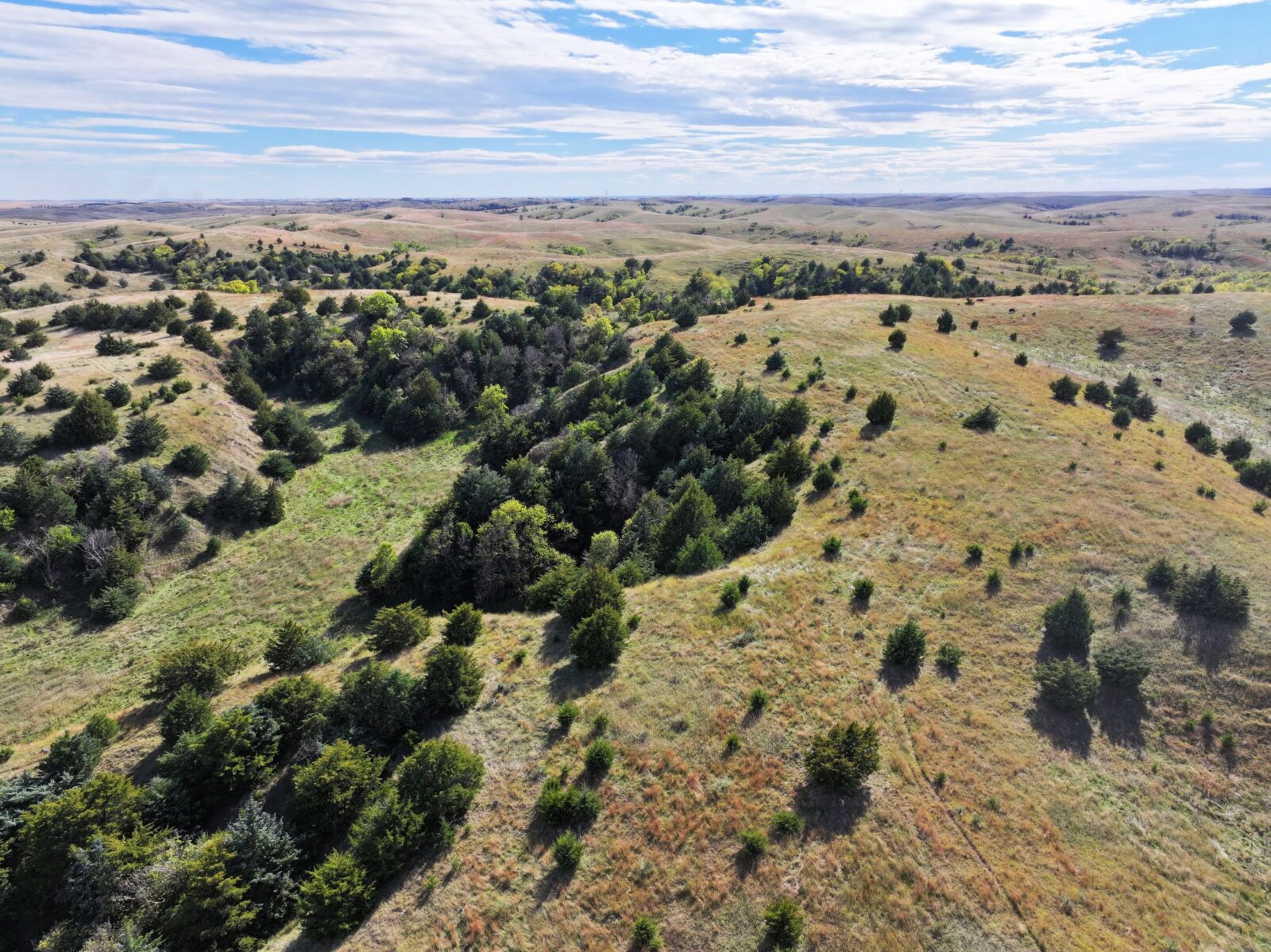 Custer County Nebraska Ranch For Sale