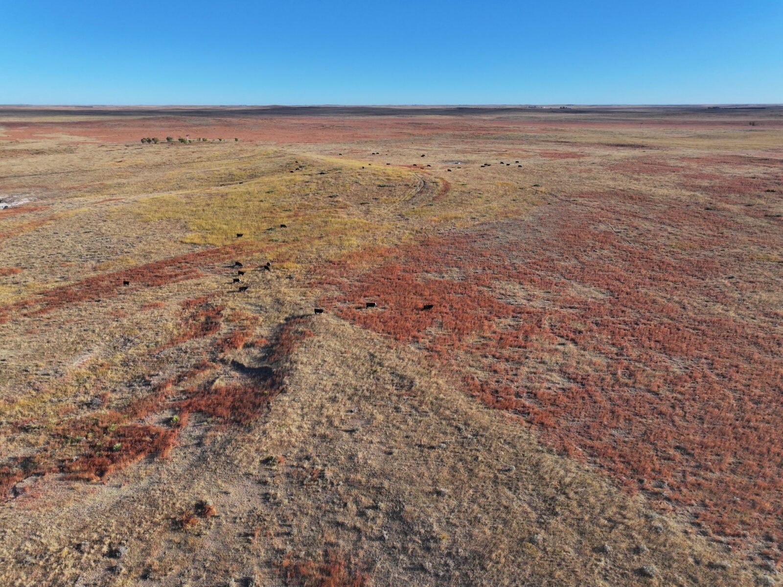2,649 Acres, Dundy County – Rock Creek Range and Recreation-ABSOLUTE AUCTION