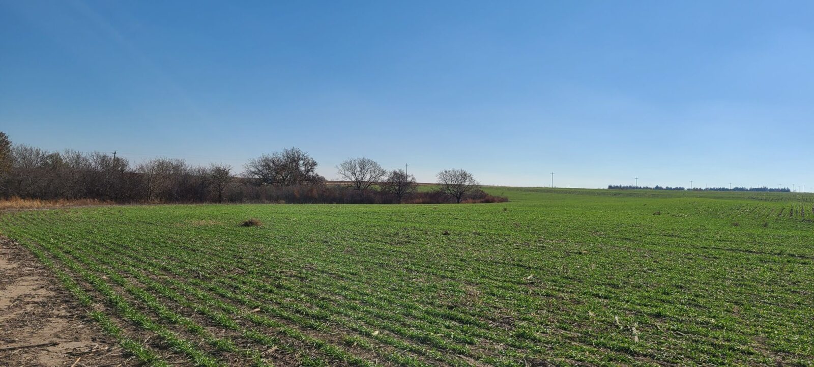 Land for sale Indianola, Nebraska