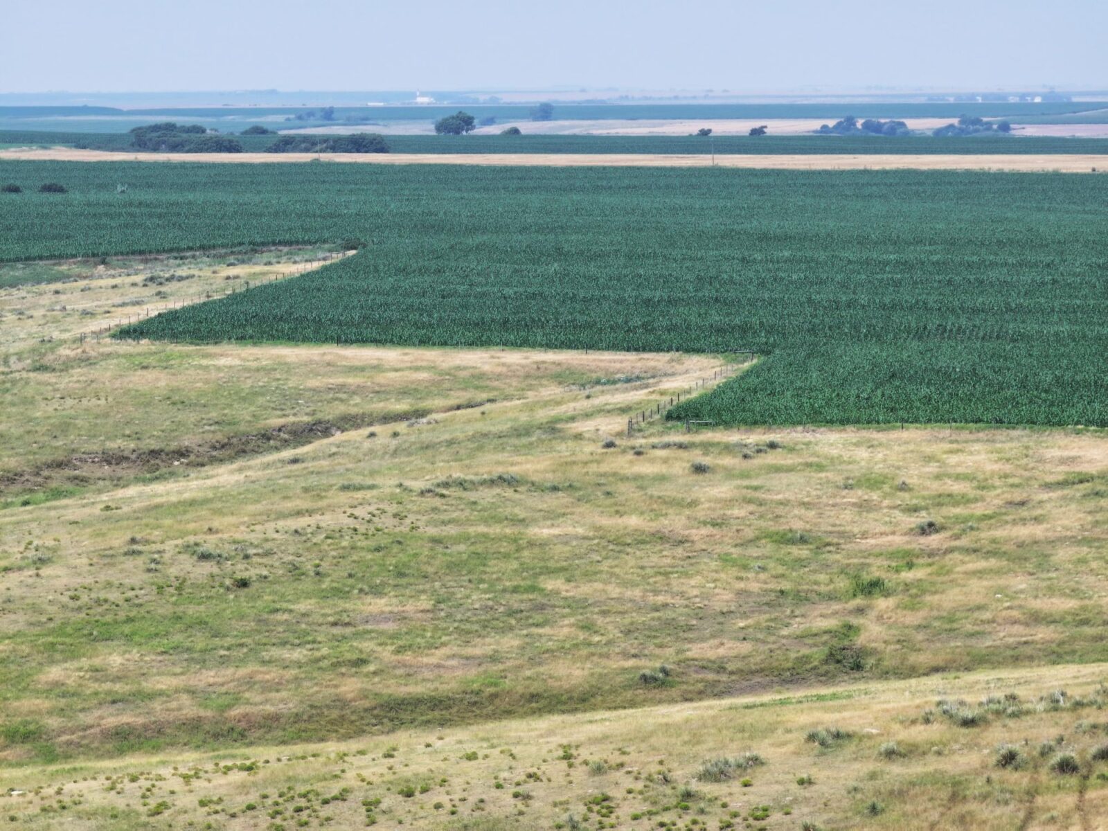 806 Acres, Red Willow County – Red Willow Drycrop and Grass