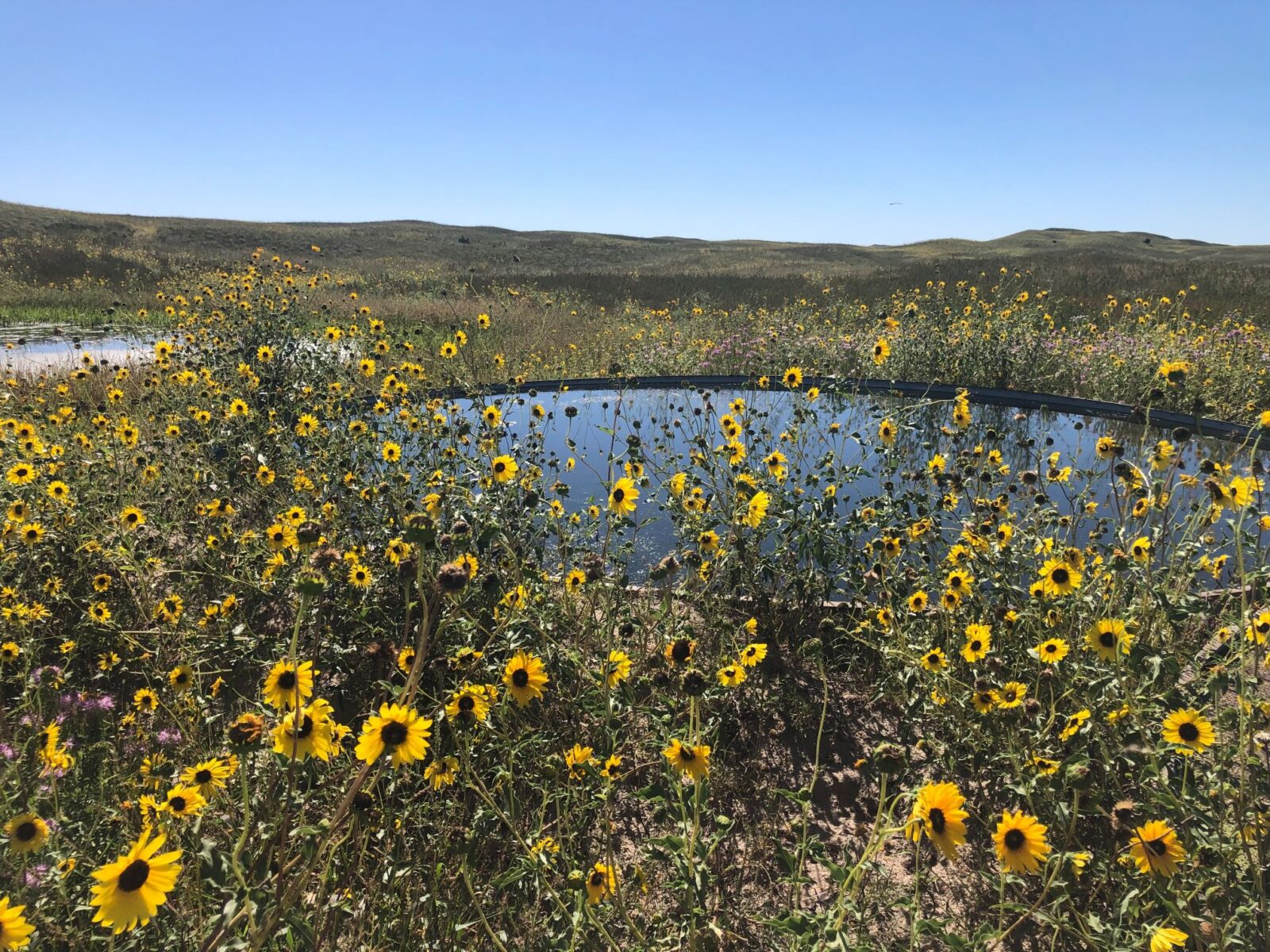 cattle ranches for sale Nebraska