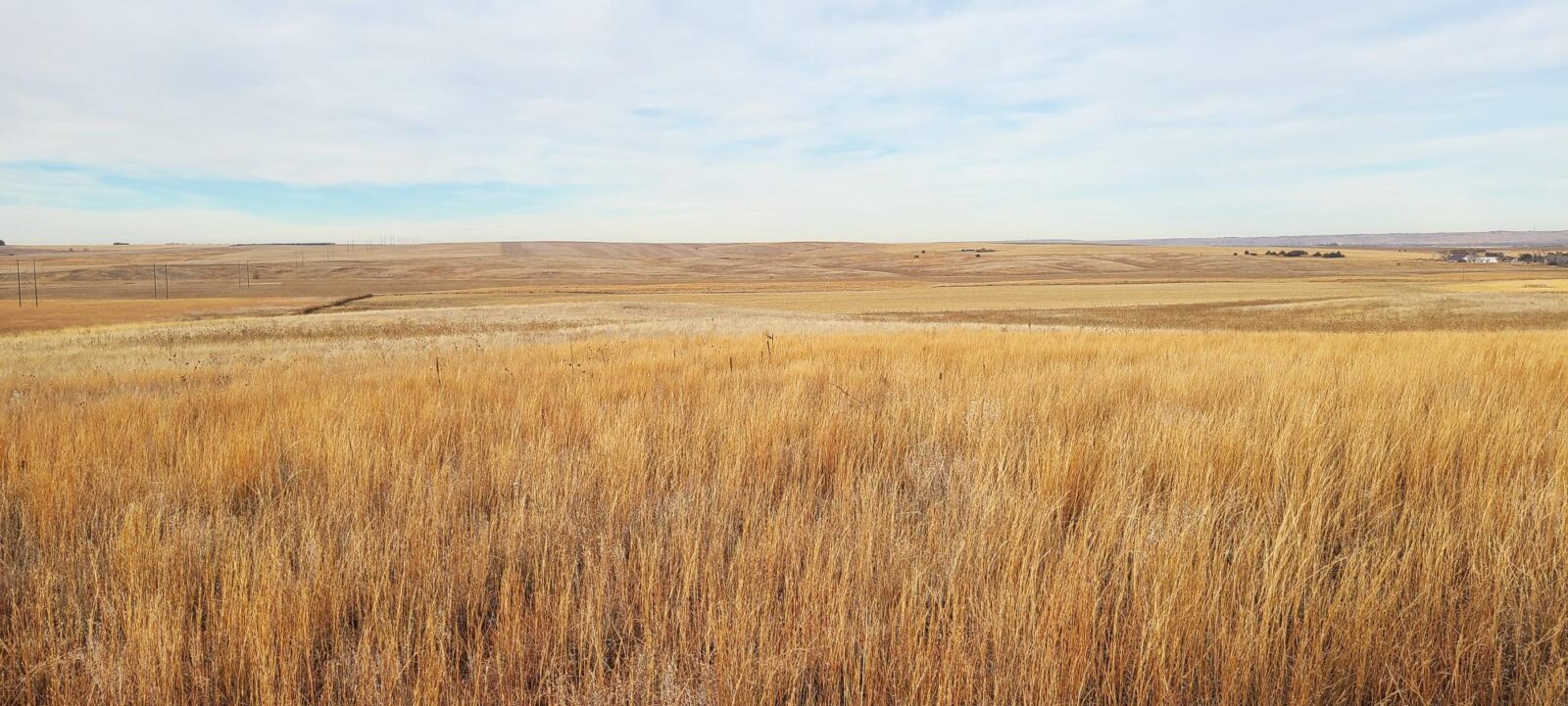 Absolute Auction Keith County, NE farm and ranch land for sale