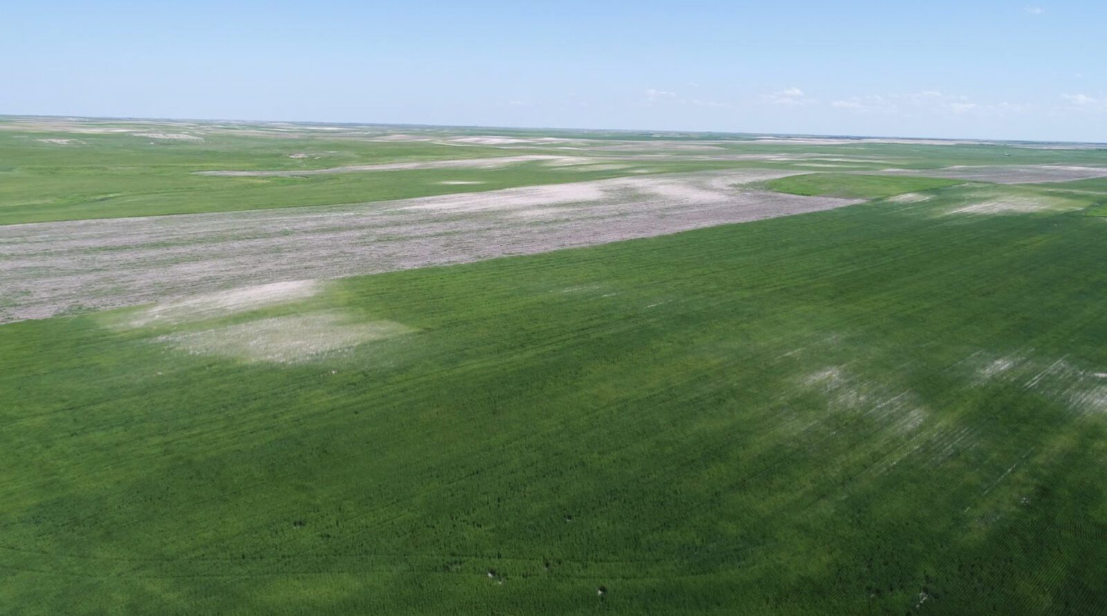 Absolute Auction Farm for sale Banner County, NE