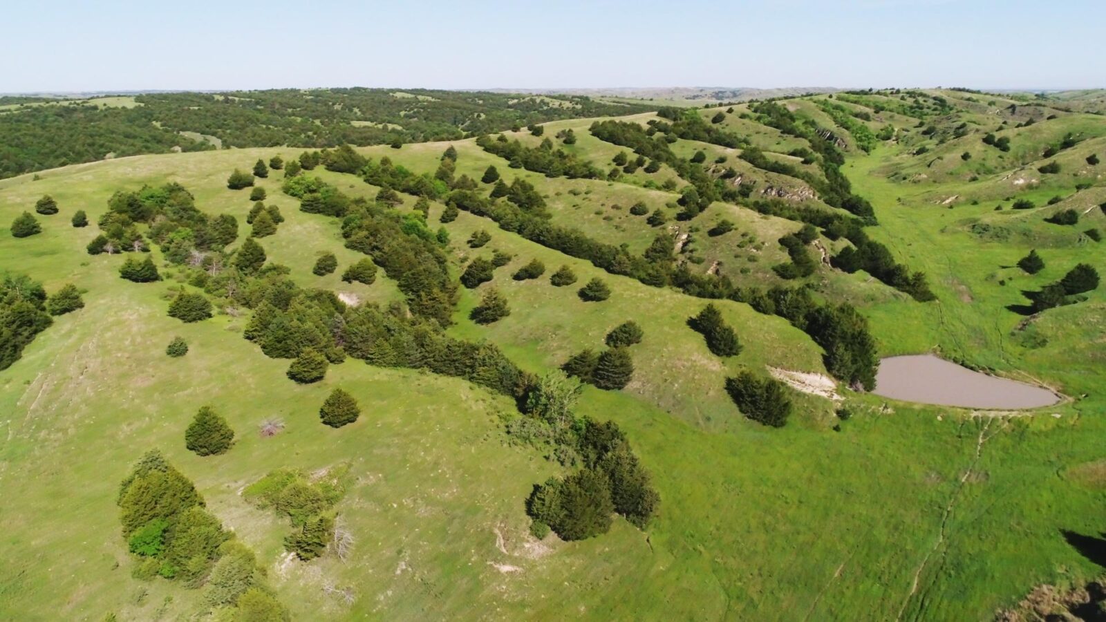 Gothenburg Pasture Nebraska Land for Sale