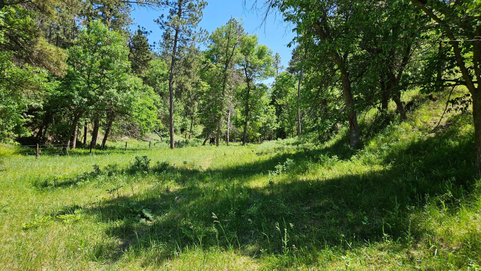 Hunting land for sale dawes county, nebraska