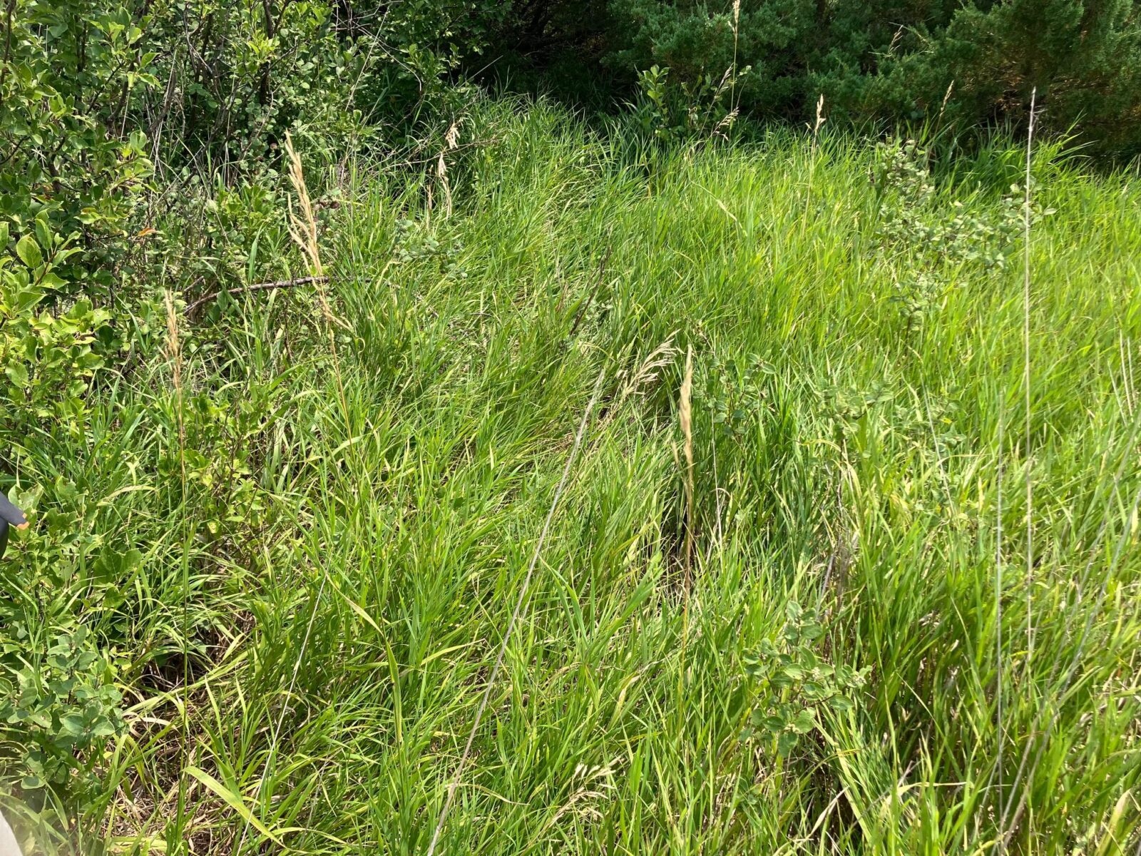 Arnold, NE vacant land for sale
