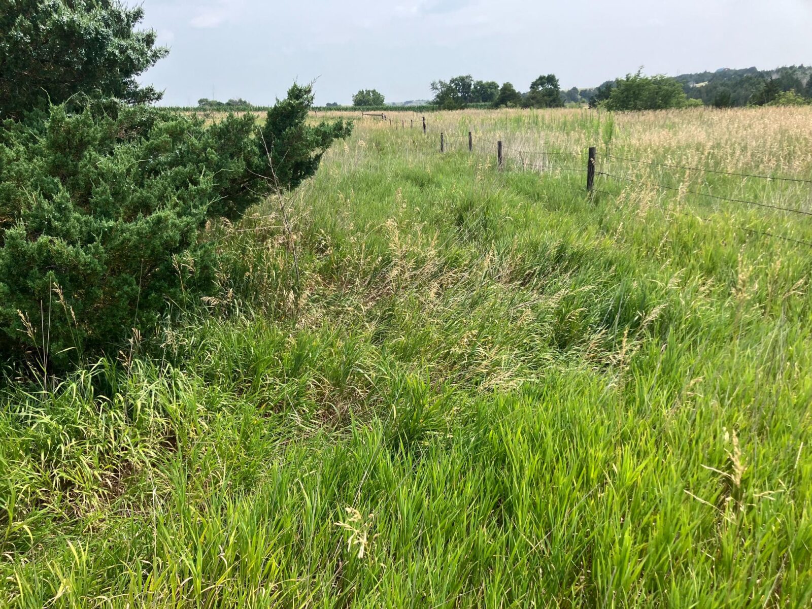 Arnold, NE vacant land for sale