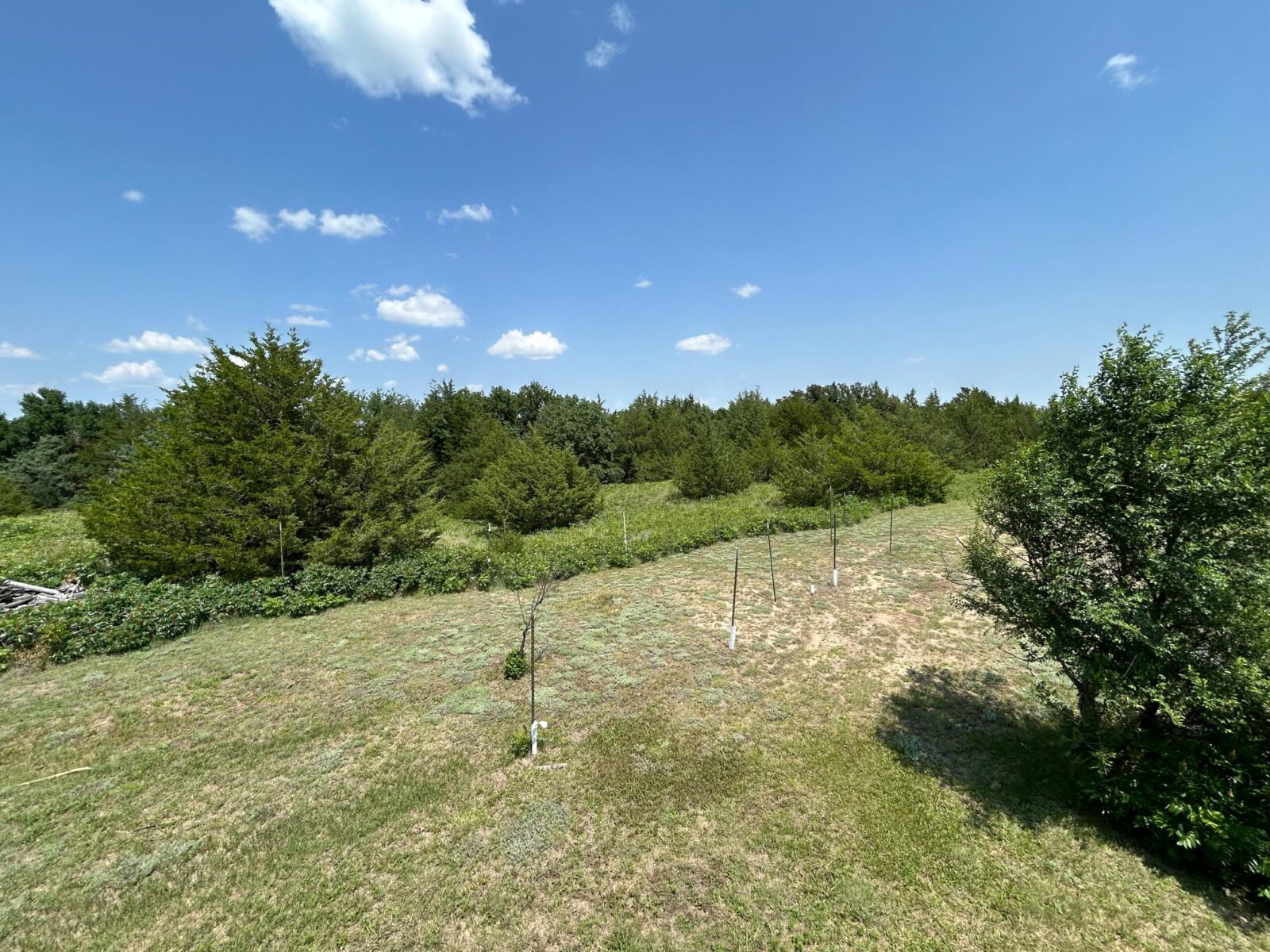 14 Acres, Brown County, Long Pine Acreage
