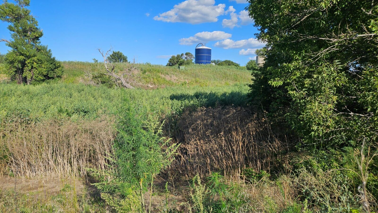51 Acres, Lincoln County, Maxwell Hunter’s Hideaway
