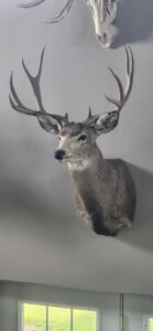 300 Acres, Frontier County Grass and Wildlife